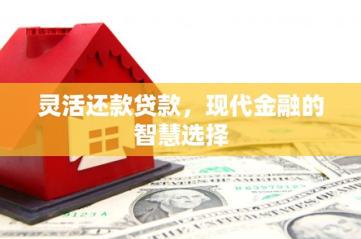 延平灵活还款贷款，现代金融的智慧选择