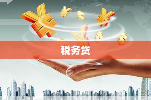 延平税务贷