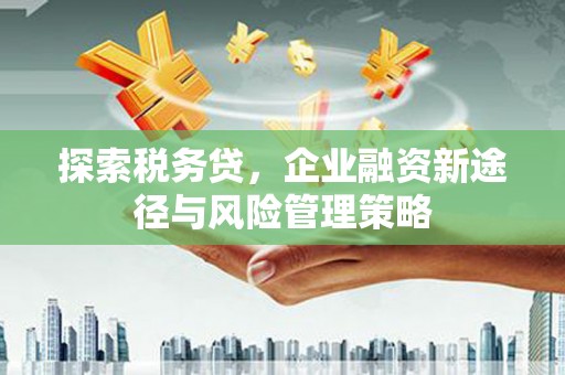 延平探索税务贷，企业融资新途径与风险管理策略