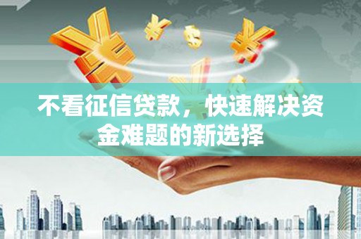 延平不看征信贷款，快速解决资金难题的新选择