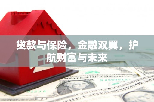 延平贷款与保险，金融双翼，护航财富与未来