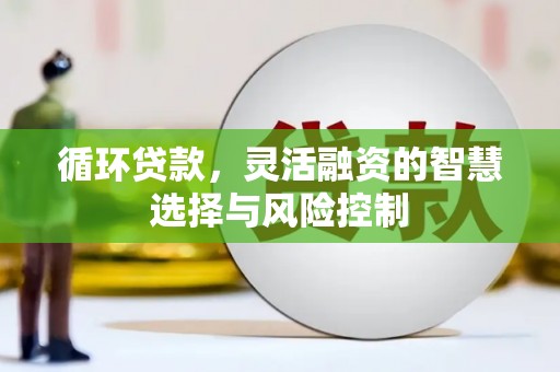 延平循环贷款，灵活融资的智慧选择与风险控制
