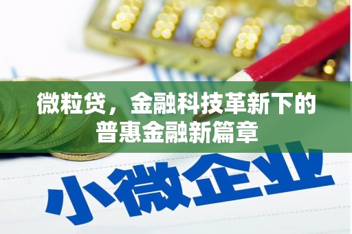 延平微粒贷，金融科技革新下的普惠金融新篇章