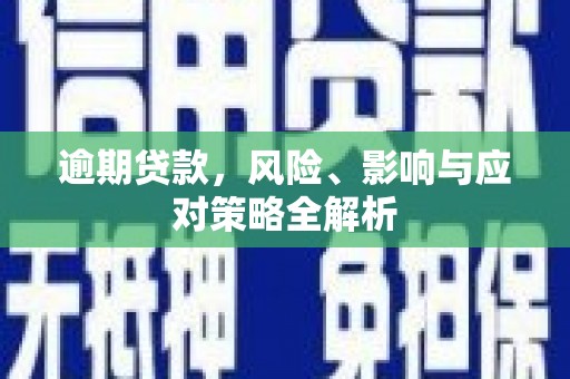 延平逾期贷款，风险、影响与应对策略全解析