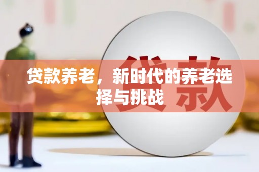 延平贷款养老，新时代的养老选择与挑战