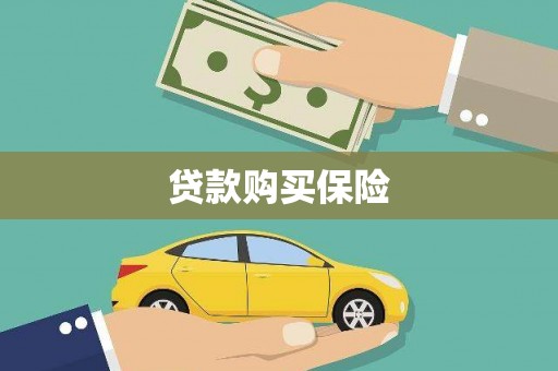 延平贷款购买保险