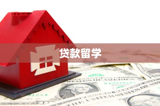 延平贷款留学