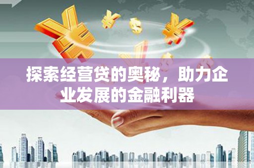 延平探索经营贷的奥秘，助力企业发展的金融利器