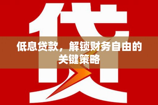 延平低息贷款，解锁财务自由的关键策略