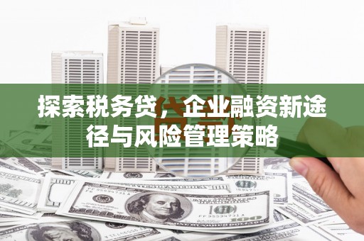 延平探索税务贷，企业融资新途径与风险管理策略
