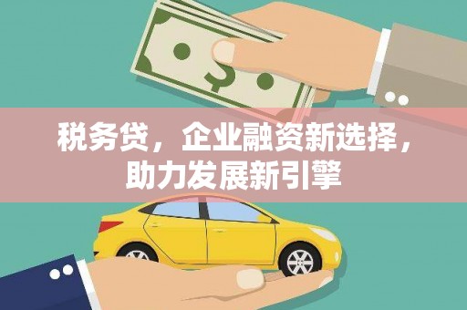 延平税务贷，企业融资新选择，助力发展新引擎