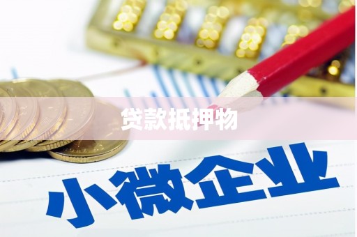 延平贷款抵押物