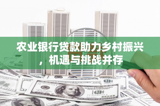延平农业银行贷款助力乡村振兴，机遇与挑战并存