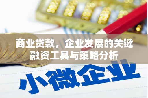 延平商业贷款，企业发展的关键融资工具与策略分析