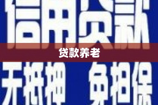 延平贷款养老
