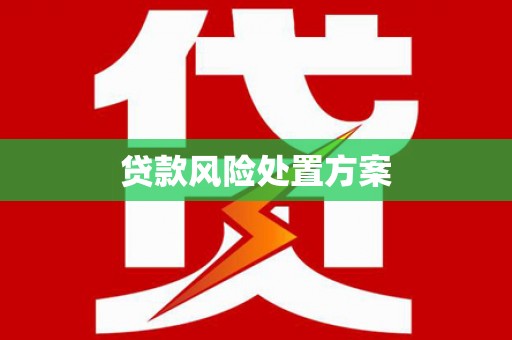 延平贷款风险处置方案