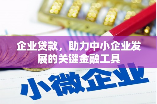 延平企业贷款，助力中小企业发展的关键金融工具
