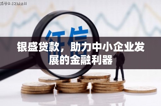 延平银盛贷款，助力中小企业发展的金融利器