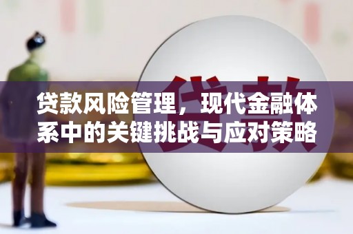 延平贷款风险管理，现代金融体系中的关键挑战与应对策略