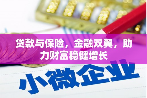 延平贷款与保险，金融双翼，助力财富稳健增长