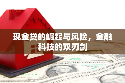 延平现金贷的崛起与风险，金融科技的双刃剑
