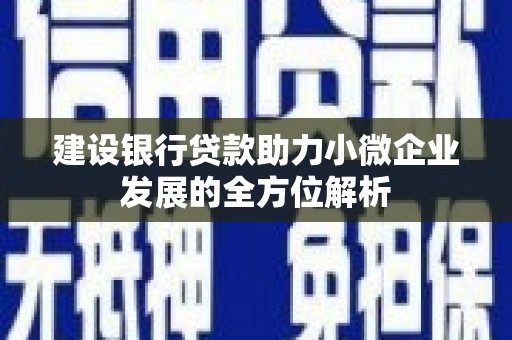 延平建设银行贷款助力小微企业发展的全方位解析