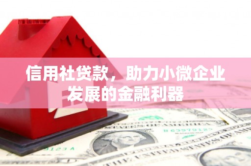 延平信用社贷款，助力小微企业发展的金融利器