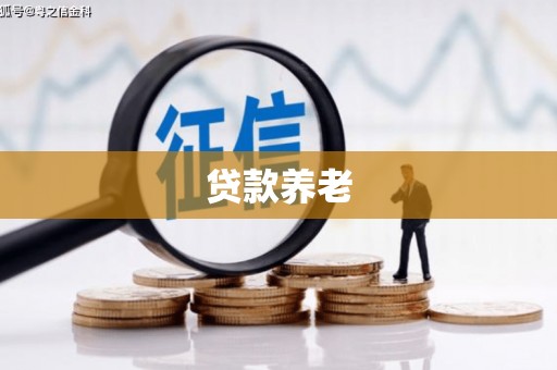 延平贷款养老