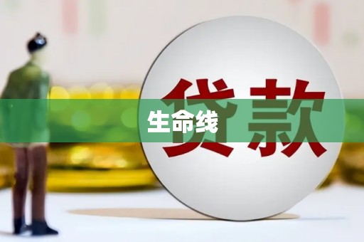延平生命线