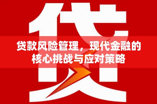 延平贷款风险管理，现代金融的核心挑战与应对策略