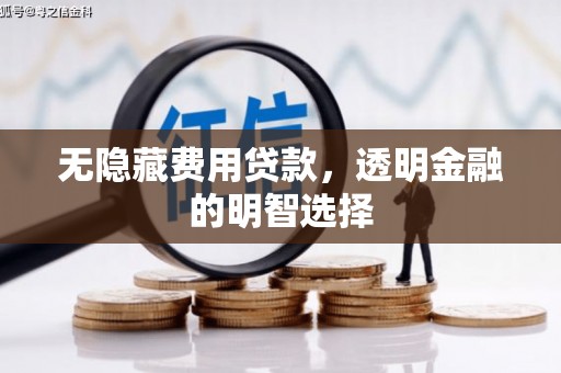 延平无隐藏费用贷款，透明金融的明智选择