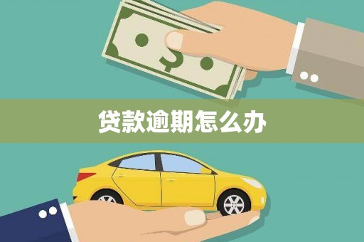 延平贷款逾期怎么办