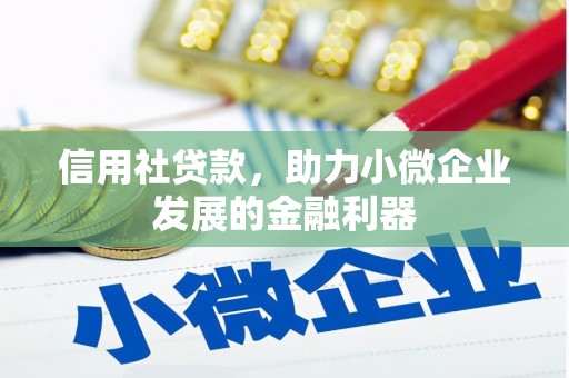 延平信用社贷款，助力小微企业发展的金融利器
