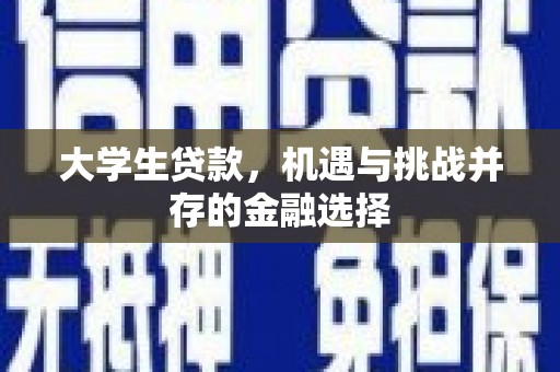 延平大学生贷款，机遇与挑战并存的金融选择