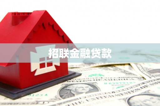 延平招联金融贷款