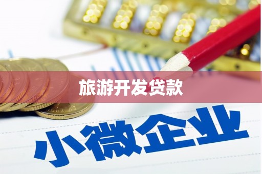 延平旅游开发贷款
