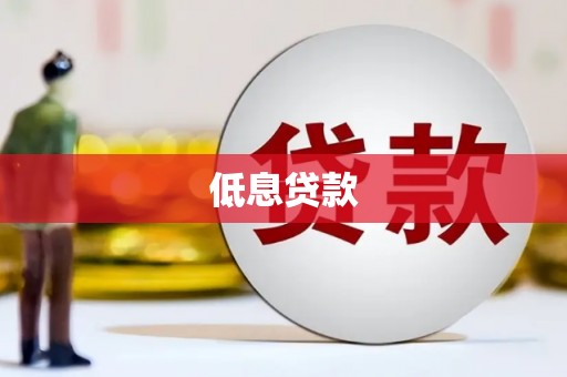 延平低息贷款