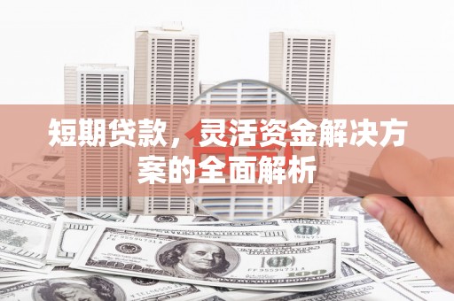 延平短期贷款，灵活资金解决方案的全面解析
