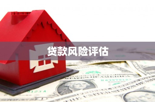 延平贷款风险评估