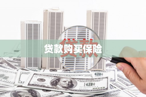 延平贷款购买保险