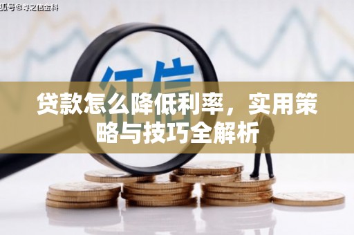 延平贷款怎么降低利率，实用策略与技巧全解析