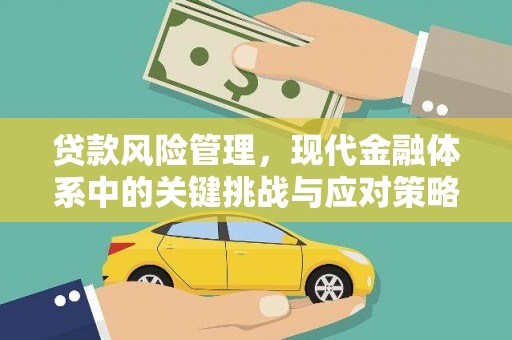 延平贷款风险管理，现代金融体系中的关键挑战与应对策略