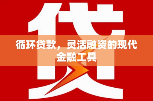 延平循环贷款，灵活融资的现代金融工具