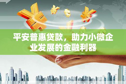 延平平安普惠贷款，助力小微企业发展的金融利器