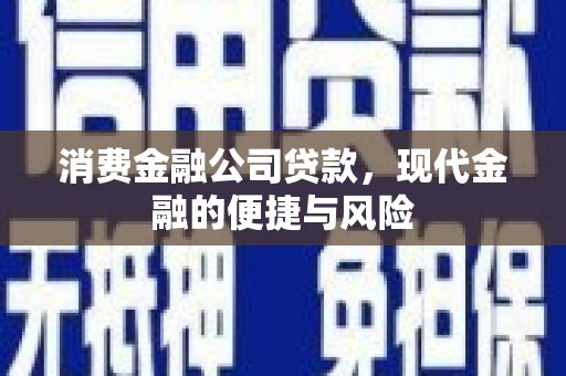 延平消费金融公司贷款，现代金融的便捷与风险