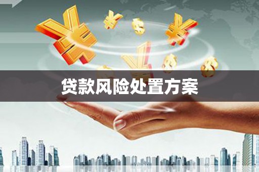 延平贷款风险处置方案