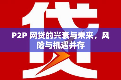 延平P2P 网贷的兴衰与未来，风险与机遇并存