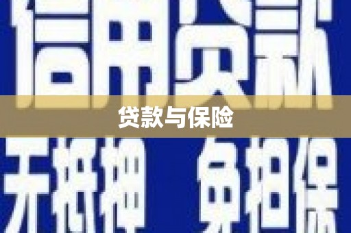 延平贷款与保险