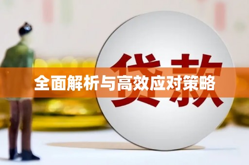 延平全面解析与高效应对策略